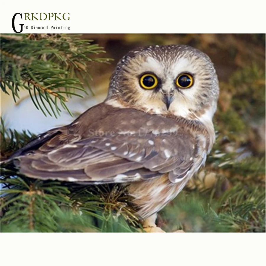NEW 5D diy Full Square/Round Diamond Painting owl animal gift Cross Stitch Diamond Embroidery Diamond Mosaic Wedding decoration
NEW 5D diy Full Square/Round Diamond Painting owl animal gift Cross Stitch Diamond Embroidery Diamond Mosaic Wedding decoration