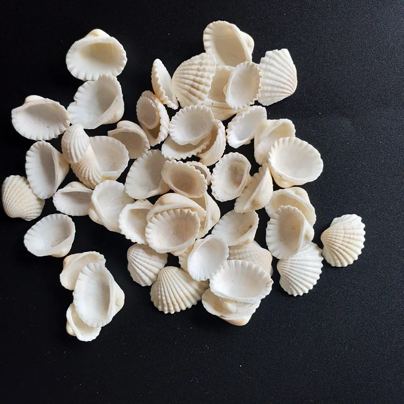HappyKiss 01-2cm 50pcs/lot Natural conch shells mini conch corn screw wall decoration DIY aquarium landscape white seashells
HappyKiss 01-2cm 50pcs/lot Natural conch shells mini conch corn screw wall decoration DIY aquarium landscape white seashells