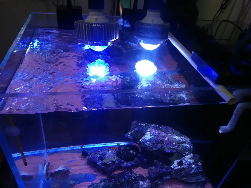 Customized Colors CREE LED Aquarium Light Grow Lamp Plant Fish tank lampe for Marine Coral Reef Light Fishes
Customized Colors CREE LED Aquarium Light Grow Lamp Plant Fish tank lampe for Marine Coral Reef Light Fishes