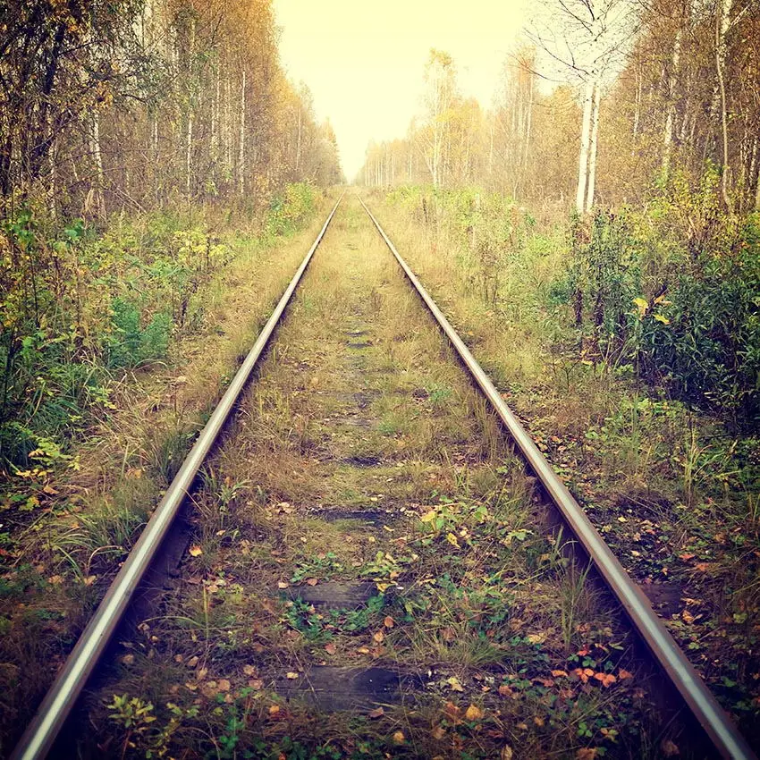 Виниловый фон для студийной фотосъемки с изображением деревьев травы железной дороги 8x8 футов 240 см x 240 см
Виниловый фон для студийной фотосъемки с изображением деревьев травы железной дороги 8x8 футов 240 см x 240 см