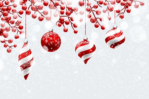 Free shipping fantasic snowflake christmas photography background,fundo fotografia,Vinyl newborn photo studio backdrop christmas
Free shipping fantasic snowflake christmas photography background,fundo fotografia,Vinyl newborn photo studio backdrop christmas