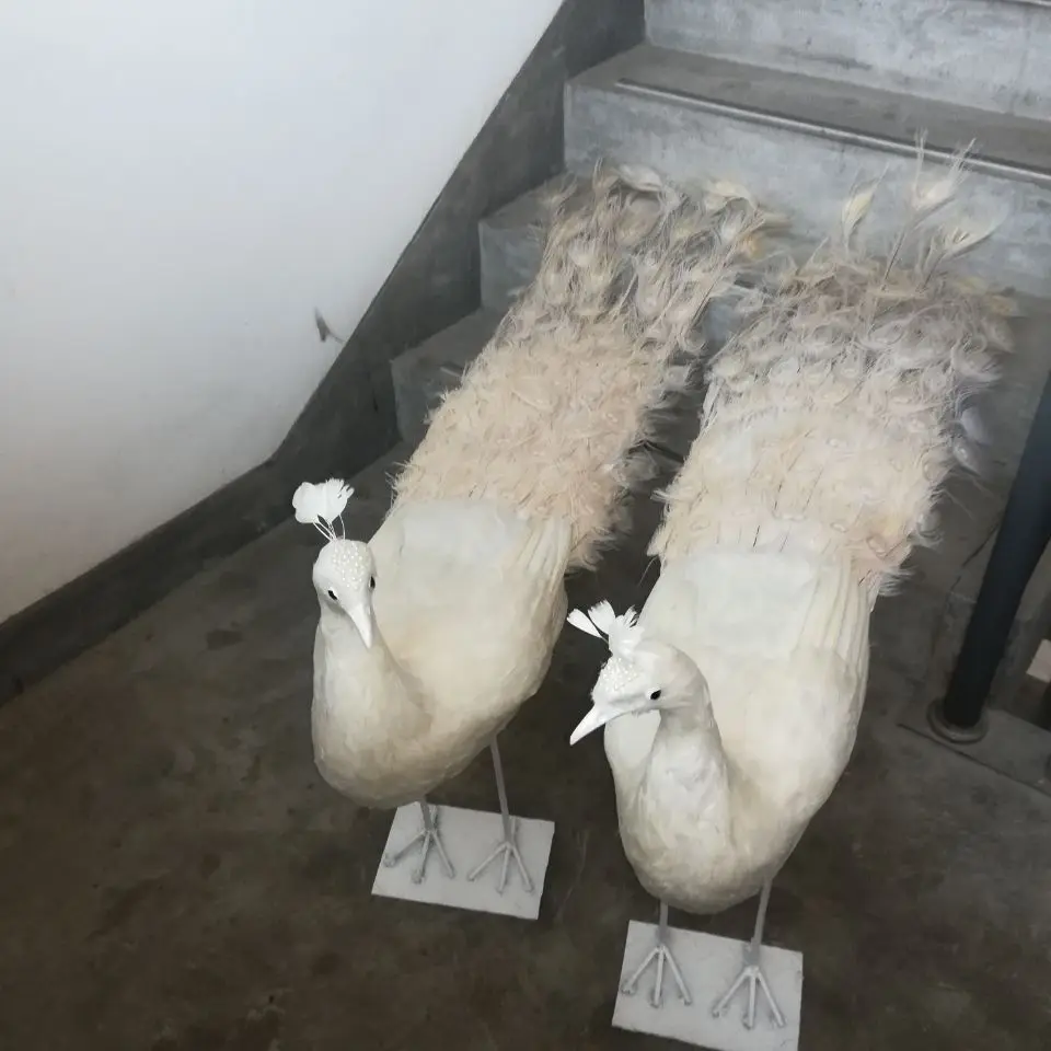 real life toy bird large 150cm white feathers peacock model one pair peacocks handicraft garden Decoration party props h0929
real life toy bird large 150cm white feathers peacock model one pair peacocks handicraft garden Decoration party props h0929