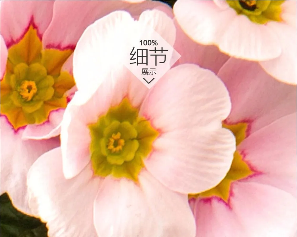 Custom photo 3d pvc flooring self adhesion Flowers and colored eggs decoration painting 3d wall murals wallpaper for walls 3 d 
Custom photo 3d pvc flooring self adhesion Flowers and colored eggs decoration painting 3d wall murals wallpaper for walls 3 d