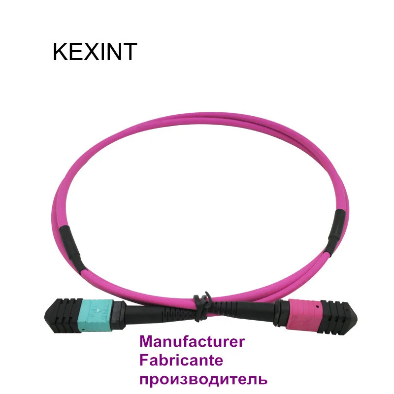 40 г патч корд 12 ядер волоконно оптический производитель MTP OM4 40G|optical patch cord|fiber optic
