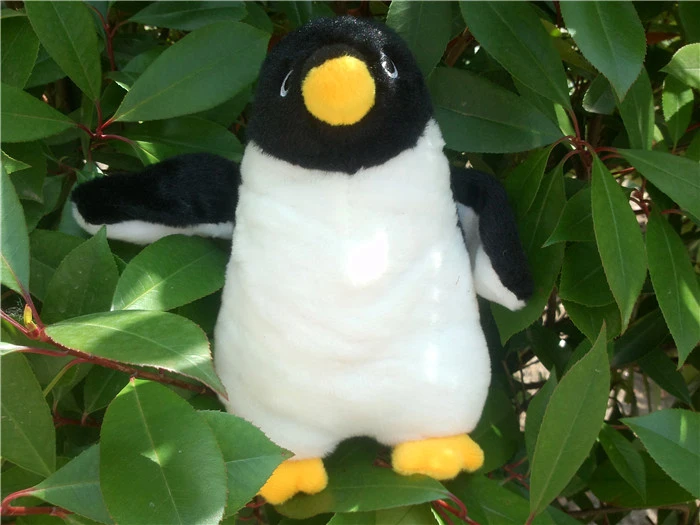 Free shipping penguin plush toy 20cm cute penguin soft stuffed doll kids gift 8pcs/lot
Free shipping penguin plush toy 20cm cute penguin soft stuffed doll kids gift 8pcs/lot