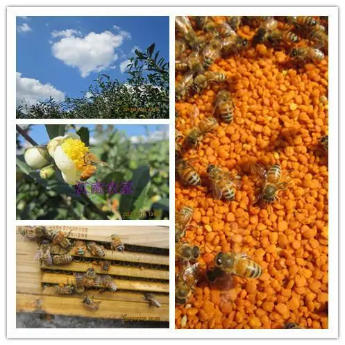 free shipping Tea pollen bee food FEED ,food for bee ,500 gsm /one pack, 2pack/lot
