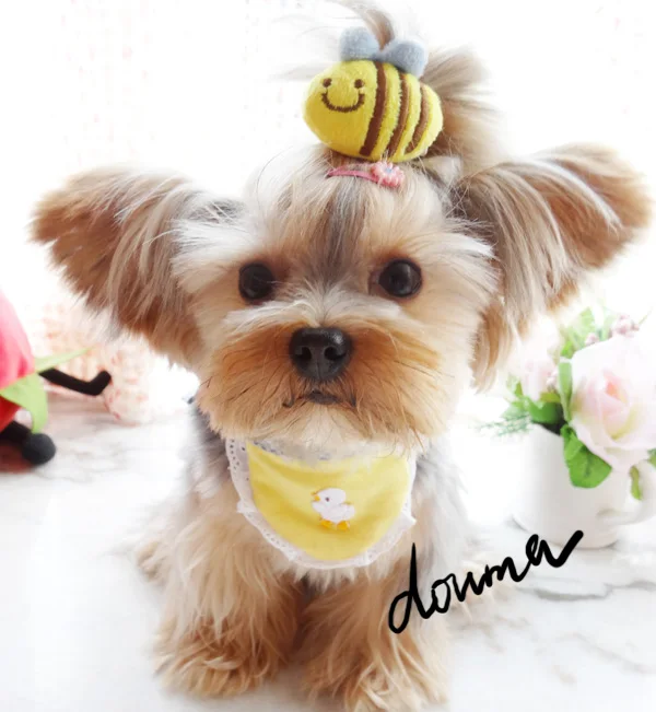 Pet Grooming super cute little bee pet dog Tactic Yorkshire flower headdress jewelry hairpin accessories
Pet Grooming super cute little bee pet dog Tactic Yorkshire flower headdress jewelry hairpin accessories