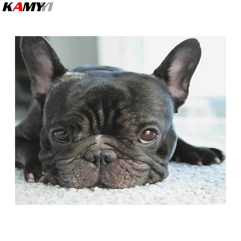 Full,Diamond Embroidery,5D,Diamond Painting,French Bulldog Dog Cross Stitch,,Diamond Mosaic,Needlework,Crafts,Christmas,Gift DD
Full,Diamond Embroidery,5D,Diamond Painting,French Bulldog Dog Cross Stitch,,Diamond Mosaic,Needlework,Crafts,Christmas,Gift DD