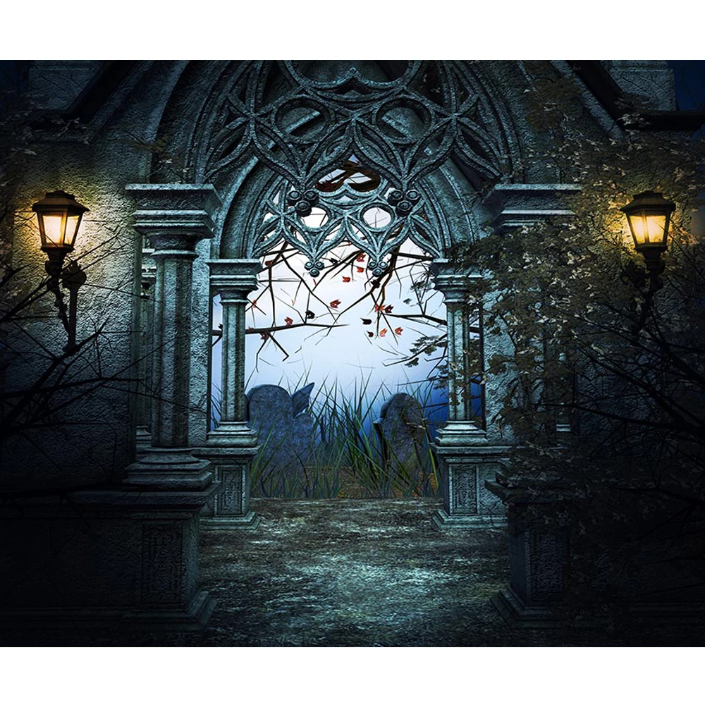 

Фон для фотосъемки с изображением старого замка арки двери надгробных деревьев ужасная ночь Хэллоуин вечерние фото фон