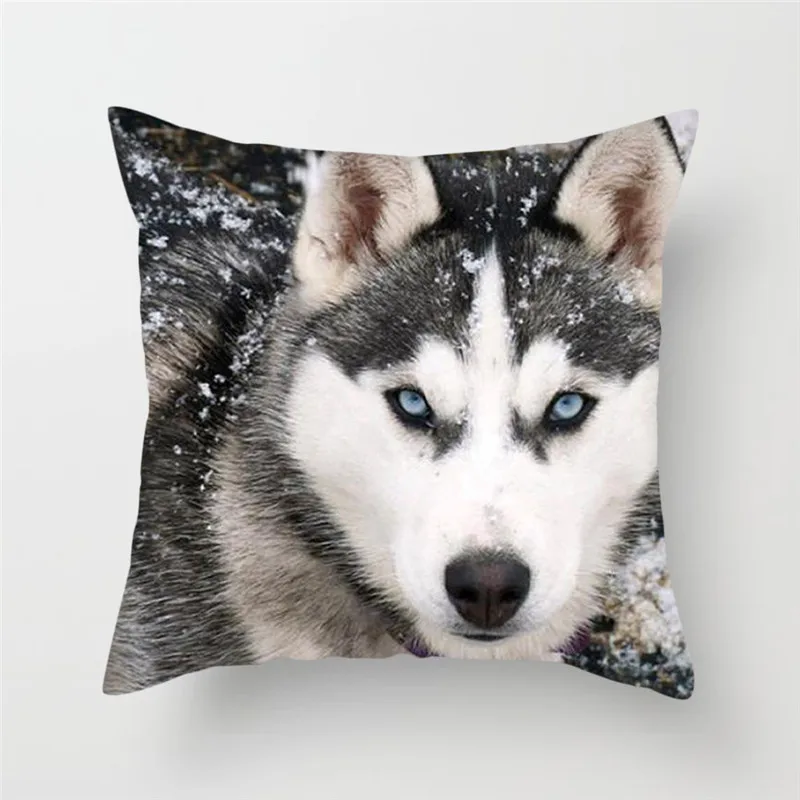 Fuwatacchi 3D Fluorescence Wolf Animal Print Cushion Cover Dog Tiger Pillowcase Sofa Chair Home Car Decor throw pillows Cover
Fuwatacchi 3D Fluorescence Wolf Animal Print Cushion Cover Dog Tiger Pillowcase Sofa Chair Home Car Decor throw pillows Cover