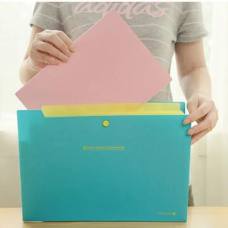 1pc 8 index simple document A4 display book PP file expanding wallet folder paper classification organ package Filing Products
1pc 8 index simple document A4 display book PP file expanding wallet folder paper classification organ package Filing Products