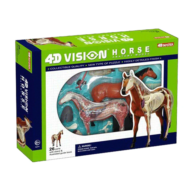 Horse 4d master puzzle Assembling toy Animal Biology organ anatomical model medical teaching model
Horse 4d master puzzle Assembling toy Animal Biology organ anatomical model medical teaching model