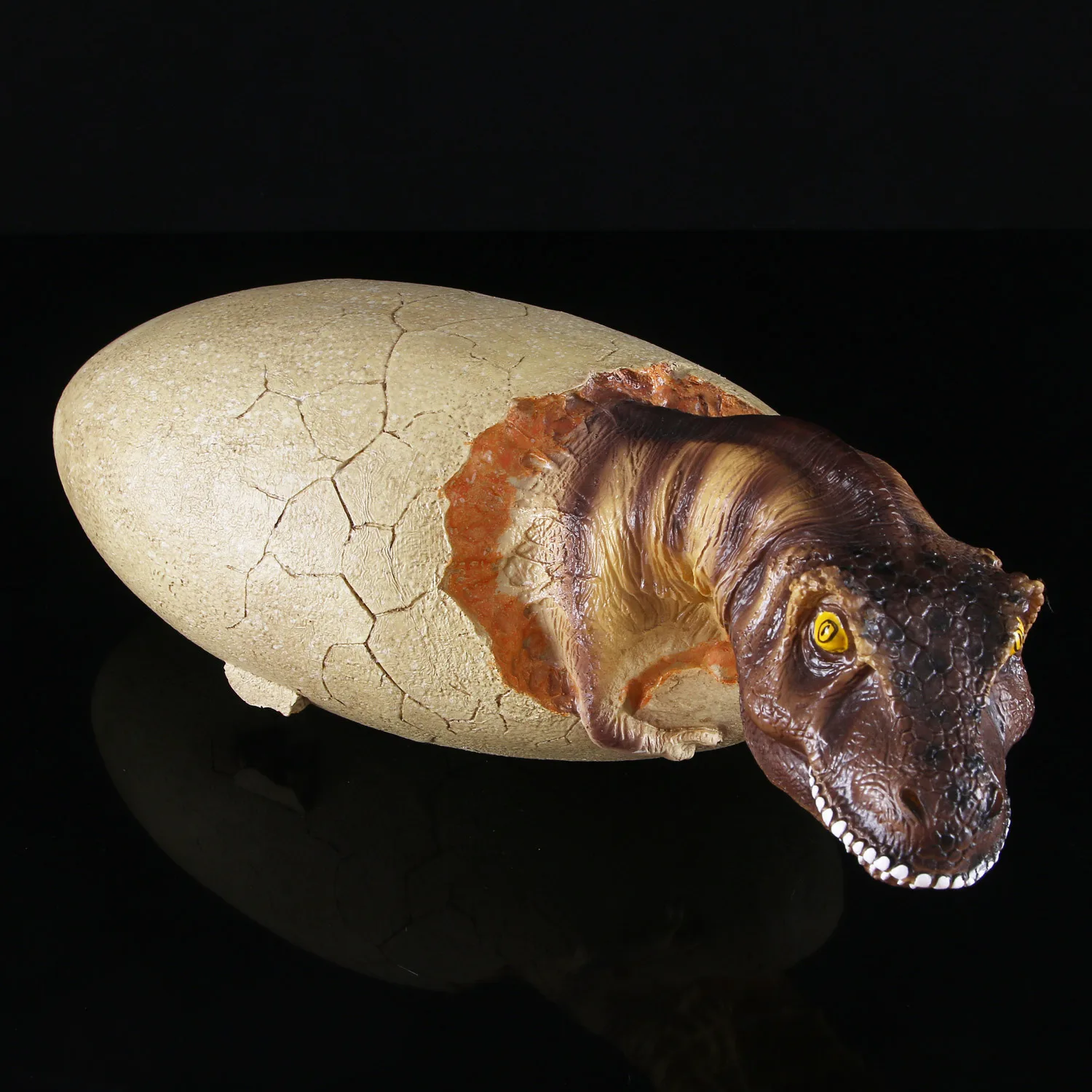 Аксессуары для украшения дома черепом ResinSimulationDinosaurEggModel ископаемый скелет динозавра инкубационных яиц динозавра маятник
Аксессуары для украшения дома черепом ResinSimulationDinosaurEggModel ископаемый скелет динозавра инкубационных яиц динозавра маятник