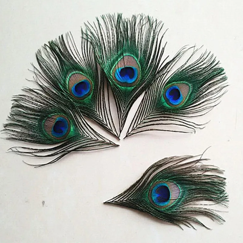 natural peacock feather eyes 8-12cm lenght 10pcs/lot wholesale feather accessories
natural peacock feather eyes 8-12cm lenght 10pcs/lot wholesale feather accessories