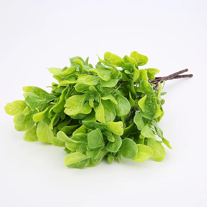 High Quality Artificial Camellia Leaf Plant Red Purple Green Fake Branch Tree Fake Plant Arrangement for Home Deco
High Quality Artificial Camellia Leaf Plant Red Purple Green Fake Branch Tree Fake Plant Arrangement for Home Deco
