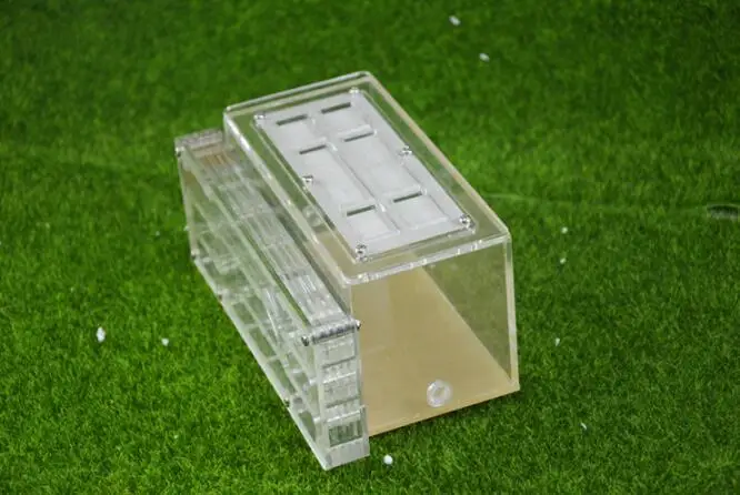 5Sets DHL Ant Nest Insect Cage Farms Feed Plastic Acrylic Display Transparent Box Ant Villa Nest Building Pet Ant Home Cages
5Sets DHL Ant Nest Insect Cage Farms Feed Plastic Acrylic Display Transparent Box Ant Villa Nest Building Pet Ant Home Cages
