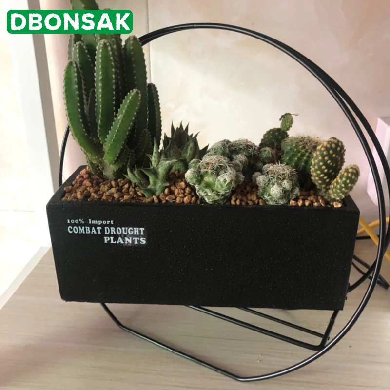 1 Set Cement Vase Succulent Planter Pot Geometric Flower Pot Decorative Bonsai Cactus Planter with Iron Stand (1 Pot + 1 Stand)
1 Set Cement Vase Succulent Planter Pot Geometric Flower Pot Decorative Bonsai Cactus Planter with Iron Stand (1 Pot + 1 Stand)