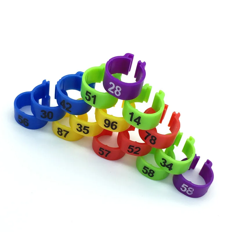 5 colors * 100 pcs Bird color foot ring 1-100 Pigeon rings 10mm Inner diameter Aviculture Tools Pigeons carry ring
5 colors * 100 pcs Bird color foot ring 1-100 Pigeon rings 10mm Inner diameter Aviculture Tools Pigeons carry ring