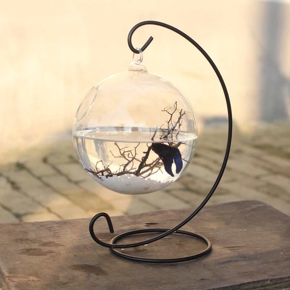 Behogar 15cm Diameter Clear Round Shape Hanging Glass Aquarium Fish Bowl Fish Tank Flower Plant Vase Home Decoration with Rack
Behogar 15cm Diameter Clear Round Shape Hanging Glass Aquarium Fish Bowl Fish Tank Flower Plant Vase Home Decoration with Rack
