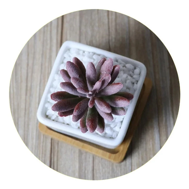 1Pcs White Ceramic Planters Garden Wedding Flowerpot Mini Square Succulent Plant Pots Flower Pot Bonsai Planters
1Pcs White Ceramic Planters Garden Wedding Flowerpot Mini Square Succulent Plant Pots Flower Pot Bonsai Planters
