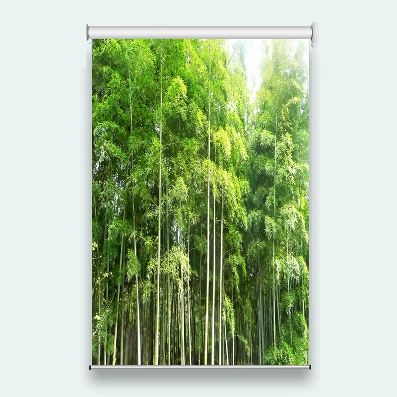 2018 Modern Window Treatments For Roller Blinds Bamboo Blackout Design Hotel Shades Curtains Drapes Eco-Friendly Blinds
2018 Modern Window Treatments For Roller Blinds Bamboo Blackout Design Hotel Shades Curtains Drapes Eco-Friendly Blinds