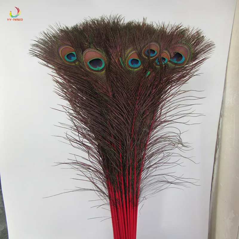 100 Pcs/Lot High-Quality Natural Peacock Feathers DIY decorative 72-80CM/29-32 Inch feathers Decoration red Peacock Feather
100 Pcs/Lot High-Quality Natural Peacock Feathers DIY decorative 72-80CM/29-32 Inch feathers Decoration red Peacock Feather