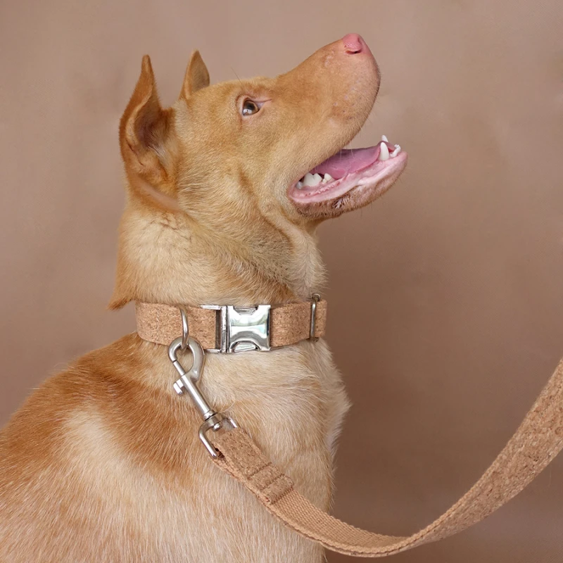 MUTTCO unique dog collar THE WOOD GRAIN convenient to walk the dog leash accessory for small medium large dogs 5 sizes UDC084
MUTTCO unique dog collar THE WOOD GRAIN convenient to walk the dog leash accessory for small medium large dogs 5 sizes UDC084
