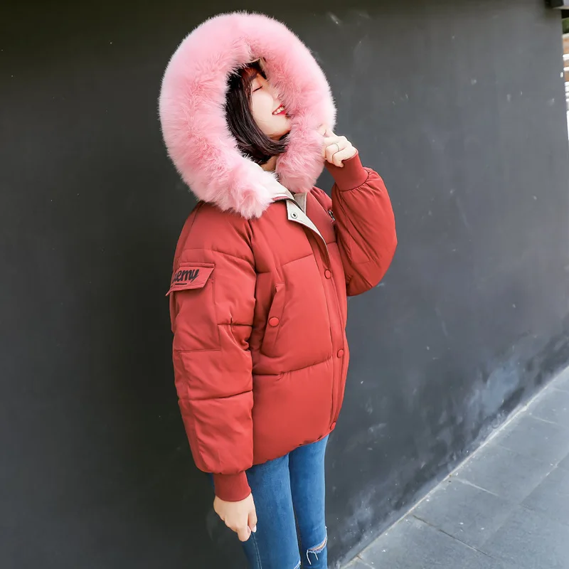 Fund Special Offer Polyester Long Zipper Coat Woman Winter Bf Little Chap Cotton-padded Clothes Korean 2019 New Joker Cotton
Fund Special Offer Polyester Long Zipper Coat Woman Winter Bf Little Chap Cotton-padded Clothes Korean 2019 New Joker Cotton