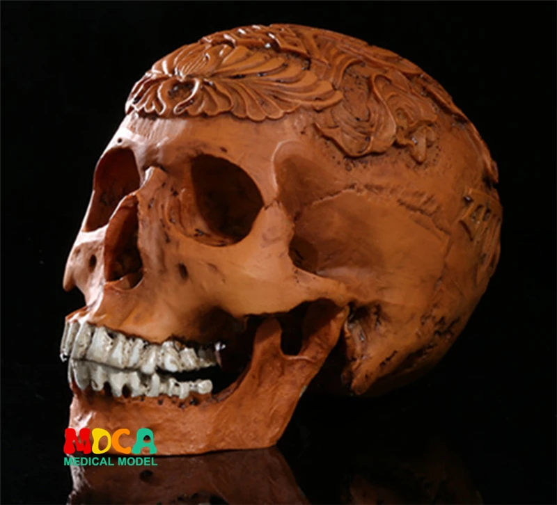 Human.skull model medical simulation teaching equipment resin skull Ornament Gift YTTG016
Human.skull model medical simulation teaching equipment resin skull Ornament Gift YTTG016