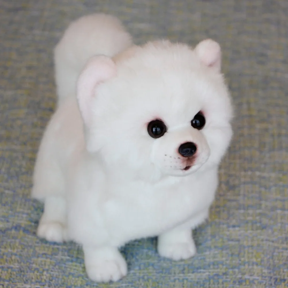 Dropshipping Millffy New Arrival Realistic White Pomeranian Plush Lifelike Stuffed Animal Soft Toy Dog Peluche Doll for Kids
Dropshipping Millffy New Arrival Realistic White Pomeranian Plush Lifelike Stuffed Animal Soft Toy Dog Peluche Doll for Kids