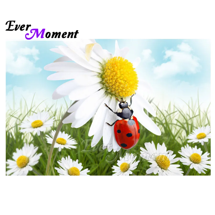 Ever Moment Diamond Painting White Flower Ladybug Picture Of Rhinestone Diamond Embroidery 5D DIY Full Square Bead ASF1709
Ever Moment Diamond Painting White Flower Ladybug Picture Of Rhinestone Diamond Embroidery 5D DIY Full Square Bead ASF1709