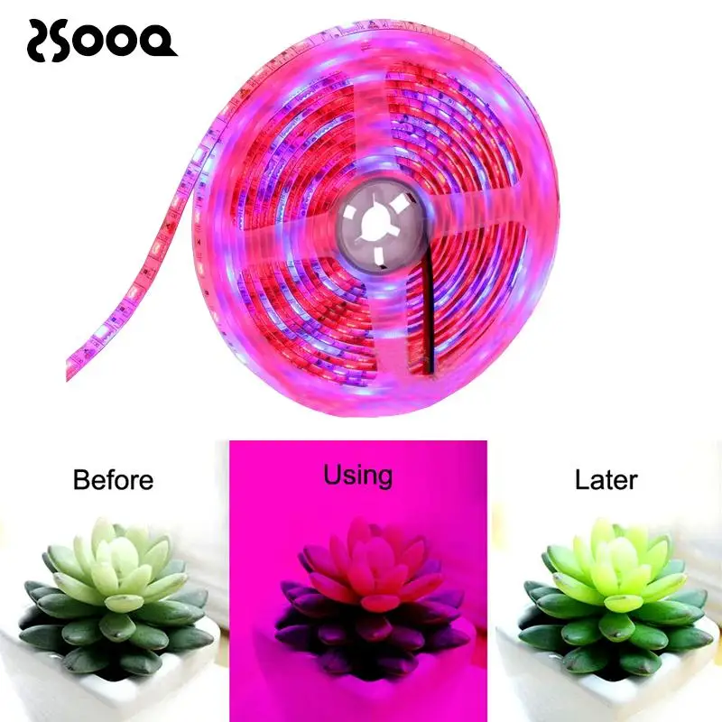 5 м LED Grow Light полный спектр 5050 Chip 300 Strip парниковый гидропонный растительный