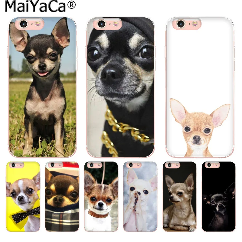 MaiYaCa Animal Chihuahua dog Amazing new arrival phone case cover for iphone 11 pro 8 7 66S Plus X 10 5S SE XR XS XS MAX Cover
MaiYaCa Animal Chihuahua dog Amazing new arrival phone case cover for iphone 11 pro 8 7 66S Plus X 10 5S SE XR XS XS MAX Cover