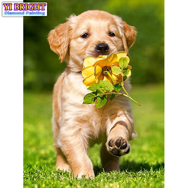 5D Diy diamond painting cross stitch "Grip Flower Dog" Full Round Diamond embroidery Needlework Rhinestone Mosaic Crafts 1125
5D Diy diamond painting cross stitch "Grip Flower Dog" Full Round Diamond embroidery Needlework Rhinestone Mosaic Crafts 1125