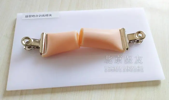 Laparoscopic Simulation Suture Practice Model Intestinal Anastomosis Module