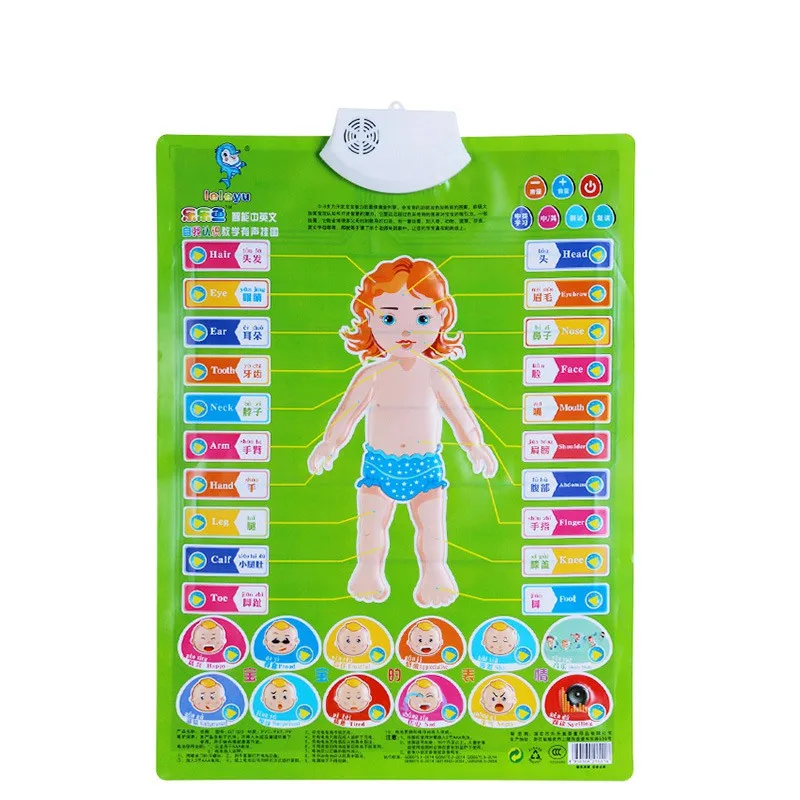 15 styles Sound wall chart baby sound electronic painting learning to talk early education Baby toys
15 styles Sound wall chart baby sound electronic painting learning to talk early education Baby toys