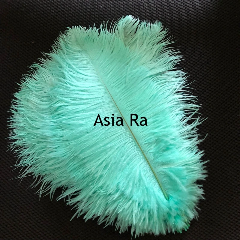 Распродажа с фабрики Asia Ra, 500 шт., мятно-зеленая окрашенная, с высоким содержанием страуса, натуральный Страус, 25-30 см, длинные свадебные украшения
Распродажа с фабрики Asia Ra, 500 шт., мятно-зеленая окрашенная, с высоким содержанием страуса, натуральный Страус, 25-30 см, длинные свадебные украшения