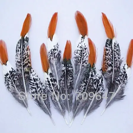 30Pcs/Lot!10-15cm 4-6inches Loose Nature Orange RED TIPPED LADY AMHERST PHEASANT FEATHERS,Earrings feathers Millinery Jewelry
30Pcs/Lot!10-15cm 4-6inches Loose Nature Orange RED TIPPED LADY AMHERST PHEASANT FEATHERS,Earrings feathers Millinery Jewelry