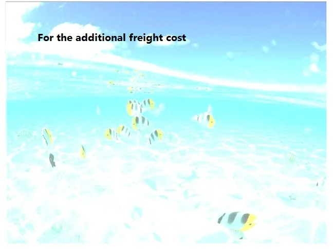 Extra Fee For Additional The Freight Cost