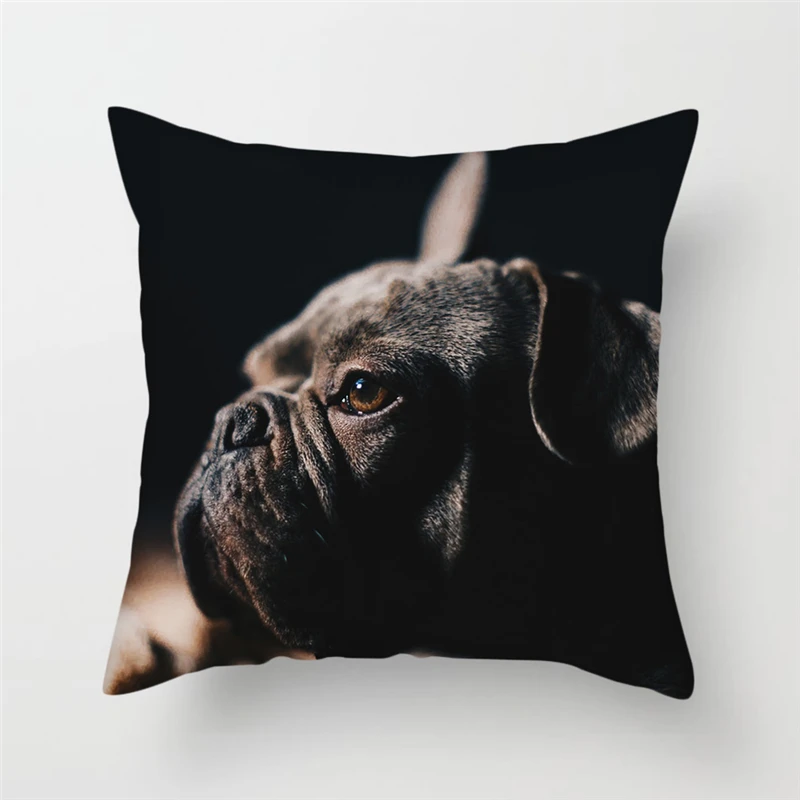 Fuwatacchi Cute Corgi Cushion Cover For Sofa Bed Decor Various Dogs Throw Pillow Cover Animal Photos Decorative Pillowcases
Fuwatacchi Cute Corgi Cushion Cover For Sofa Bed Decor Various Dogs Throw Pillow Cover Animal Photos Decorative Pillowcases