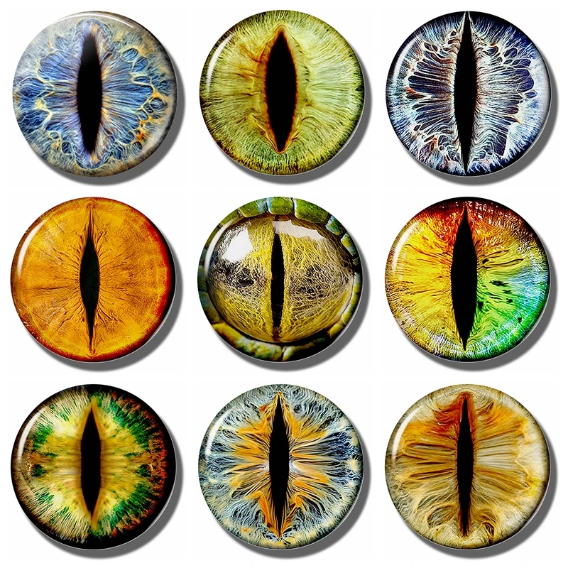 Frost Dragon Eye 30 MM Fridge Magnet Glass Cabochon Note Holder Evil Eye Magnetic Refrigerator Stickers Fridge Decoration
Frost Dragon Eye 30 MM Fridge Magnet Glass Cabochon Note Holder Evil Eye Magnetic Refrigerator Stickers Fridge Decoration