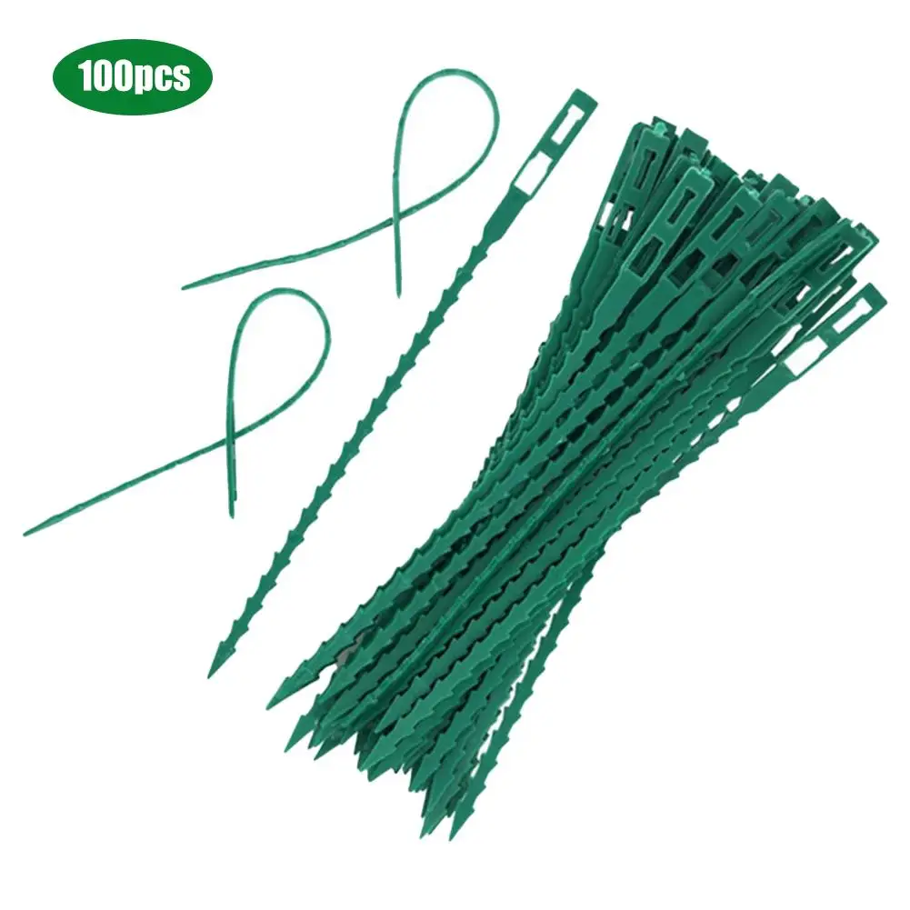 100PCS Reusable Plant Cable Ties Fixed Tie Wrap Adjustable Tree Climbing Fish Bone Cables Garden Horticulture Planting Supplies
100PCS Reusable Plant Cable Ties Fixed Tie Wrap Adjustable Tree Climbing Fish Bone Cables Garden Horticulture Planting Supplies
