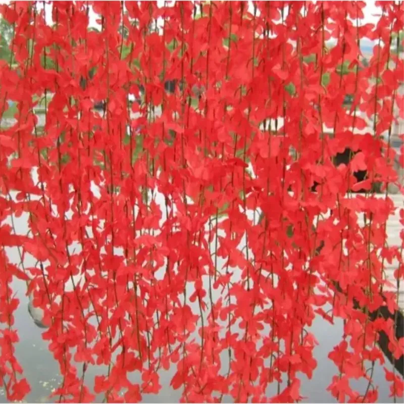 Free Shipping 10pcs/lot Beautiful Cherry Blossom 5 Branches/pcs Artificial Silk Flower Vine Wall Hanging Wisteria Ornament
Free Shipping 10pcs/lot Beautiful Cherry Blossom 5 Branches/pcs Artificial Silk Flower Vine Wall Hanging Wisteria Ornament