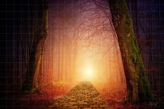 Wizard Yellow Brick Road Halloween Family Fairy Tale Forest backdrop Computer print children kids background
Wizard Yellow Brick Road Halloween Family Fairy Tale Forest backdrop Computer print children kids background