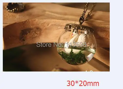 NEW 20sets/lot 30*20mm clear glass globe with base findings set empty glass bubble DIY vial pendant Charm wide opening Bottle
NEW 20sets/lot 30*20mm clear glass globe with base findings set empty glass bubble DIY vial pendant Charm wide opening Bottle