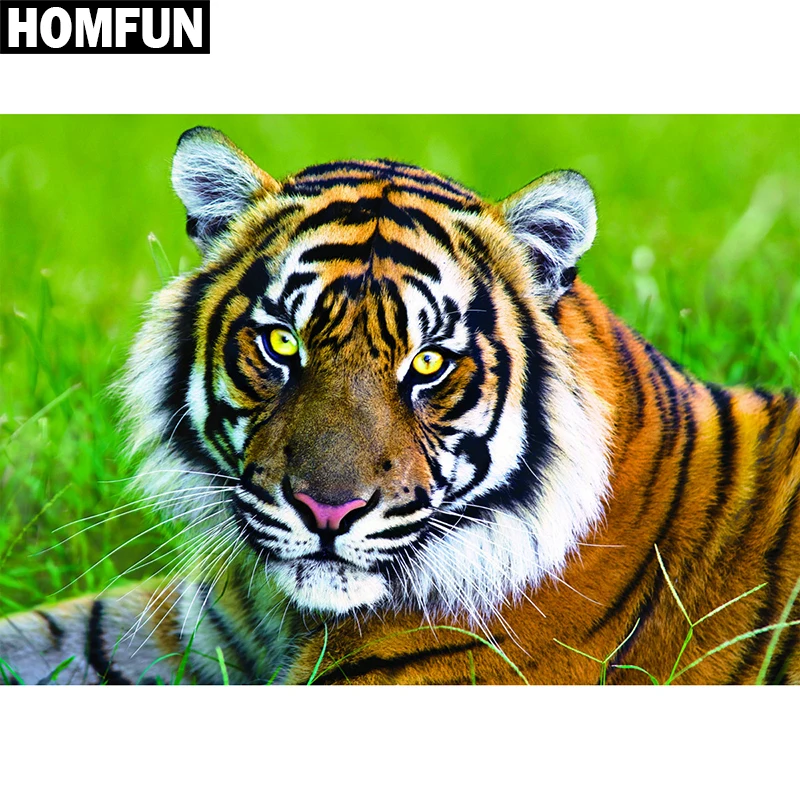 Алмазная 5D Вышивка HOMFUN «Тигр», картина «сделай сам» с полными квадратными/круглыми стразами, вышивка крестиком, домашний декор, подарок
Алмазная 5D Вышивка HOMFUN «Тигр», картина «сделай сам» с полными квадратными/круглыми стразами, вышивка крестиком, домашний декор, подарок