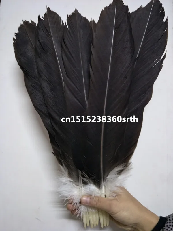 Wholesale 200pcs Quality scare natural Eagle tail feather 35-40cm/14-16inch Decorative diy stage performance Jewelry accessories
Wholesale 200pcs Quality scare natural Eagle tail feather 35-40cm/14-16inch Decorative diy stage performance Jewelry accessories