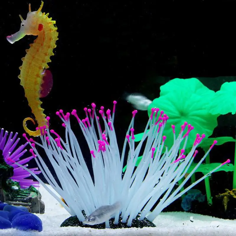 5 видов цветов аквариум светящийся искусственный Коралл Украшение аквариум Имитация морской анемон орнамент экологически чистый материал
5 видов цветов аквариум светящийся искусственный Коралл Украшение аквариум Имитация морской анемон орнамент экологически чистый материал