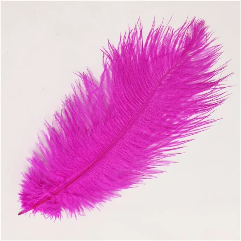 50 pcs/lot Beautiful Hot Pink Ostrich Feathers for Floral Arrangements Craft Wedding Table Decoration Party Decorative
50 pcs/lot Beautiful Hot Pink Ostrich Feathers for Floral Arrangements Craft Wedding Table Decoration Party Decorative