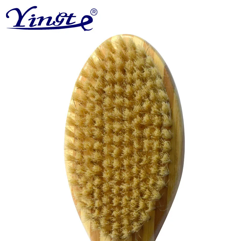 Pet comb double combing pig bristle cleaning cat and dog grooming pet supplies dehair brush airbag
Pet comb double combing pig bristle cleaning cat and dog grooming pet supplies dehair brush airbag